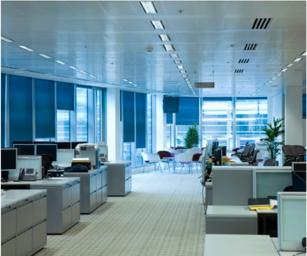 Corporate Sector
